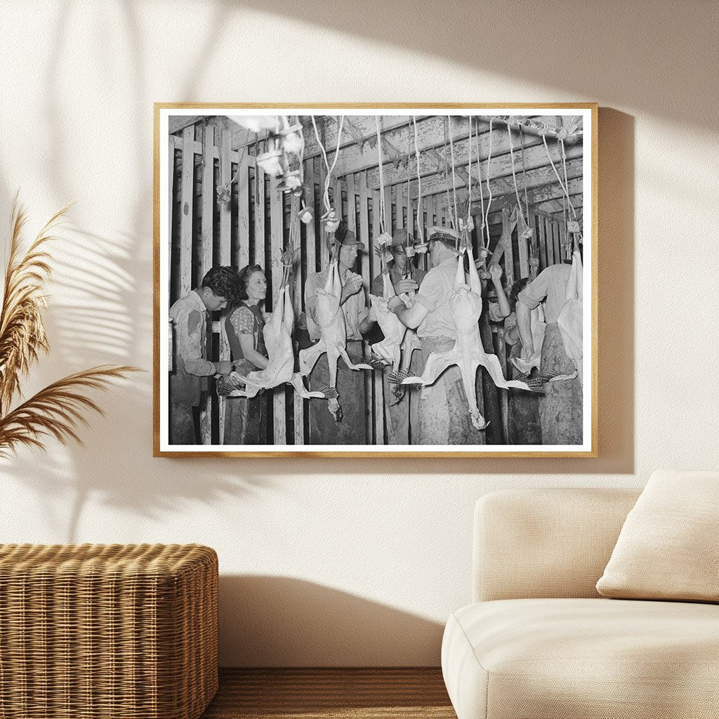 Workers Picking Turkeys at Brownwood Poultry House 1939