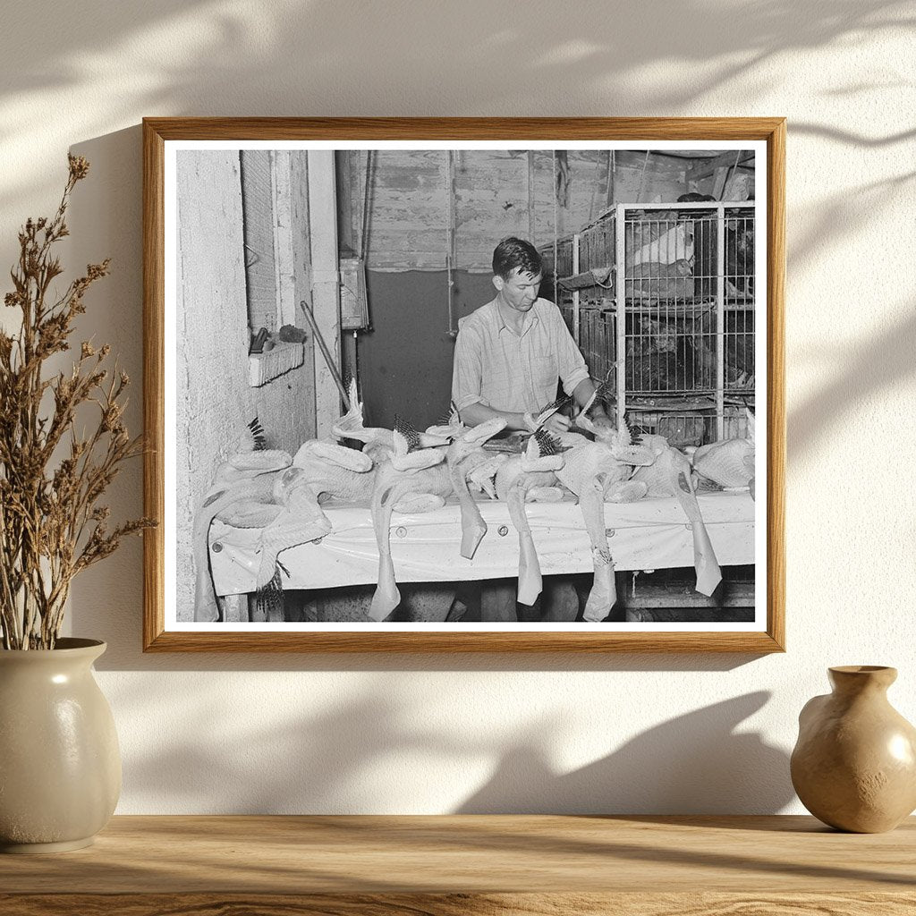 Vintage Turkey Inspection in Brownwood Texas 1939