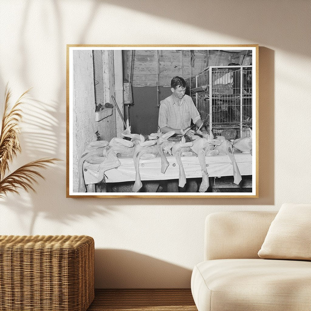 Vintage Turkey Inspection in Brownwood Texas 1939