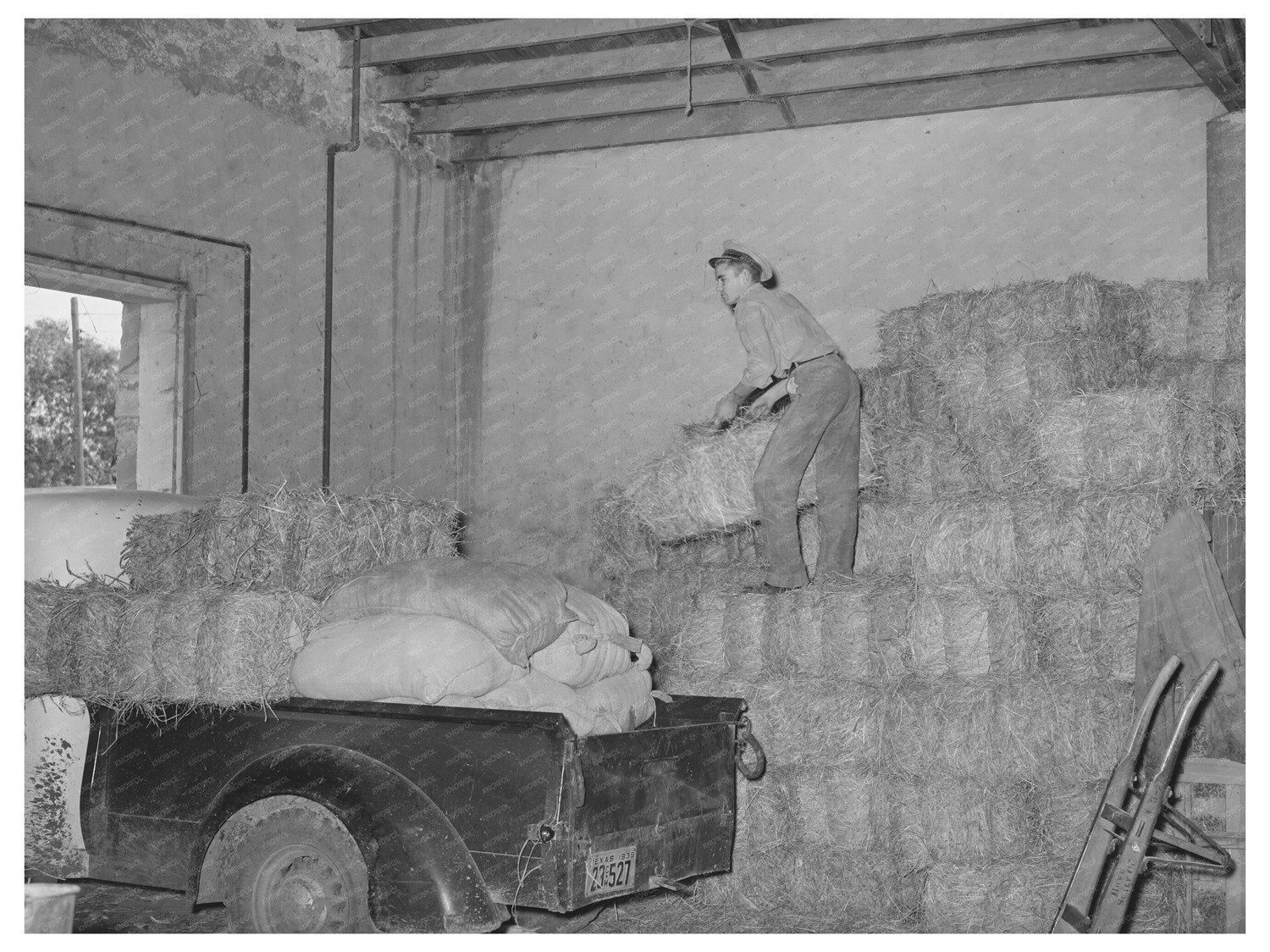 Loading Hay at a Feed Store in Brownwood Texas 1939