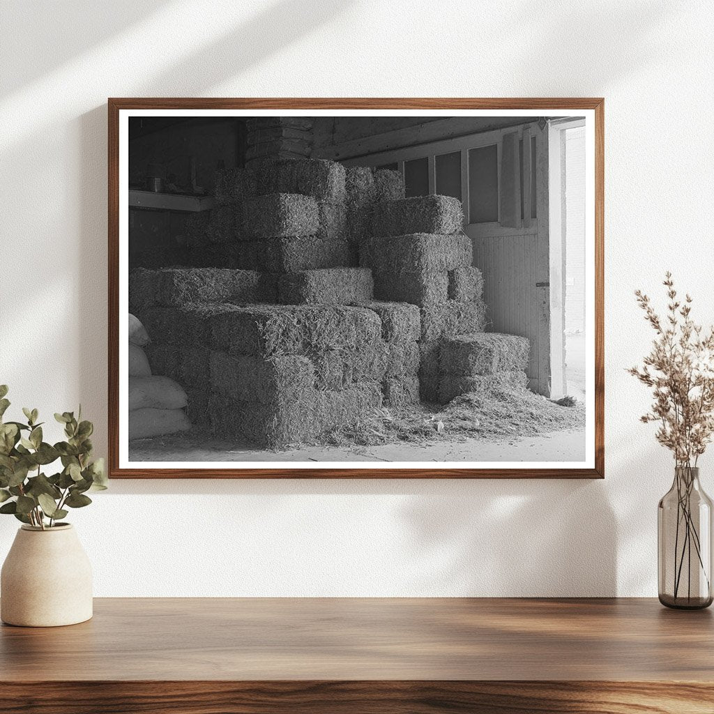 Peanut Hay Storage in Brownwood Texas November 1939
