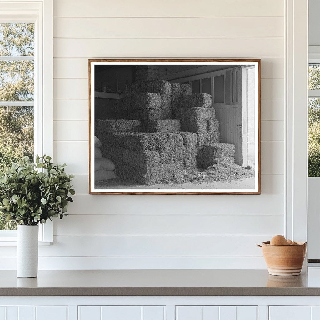 Peanut Hay Storage in Brownwood Texas November 1939