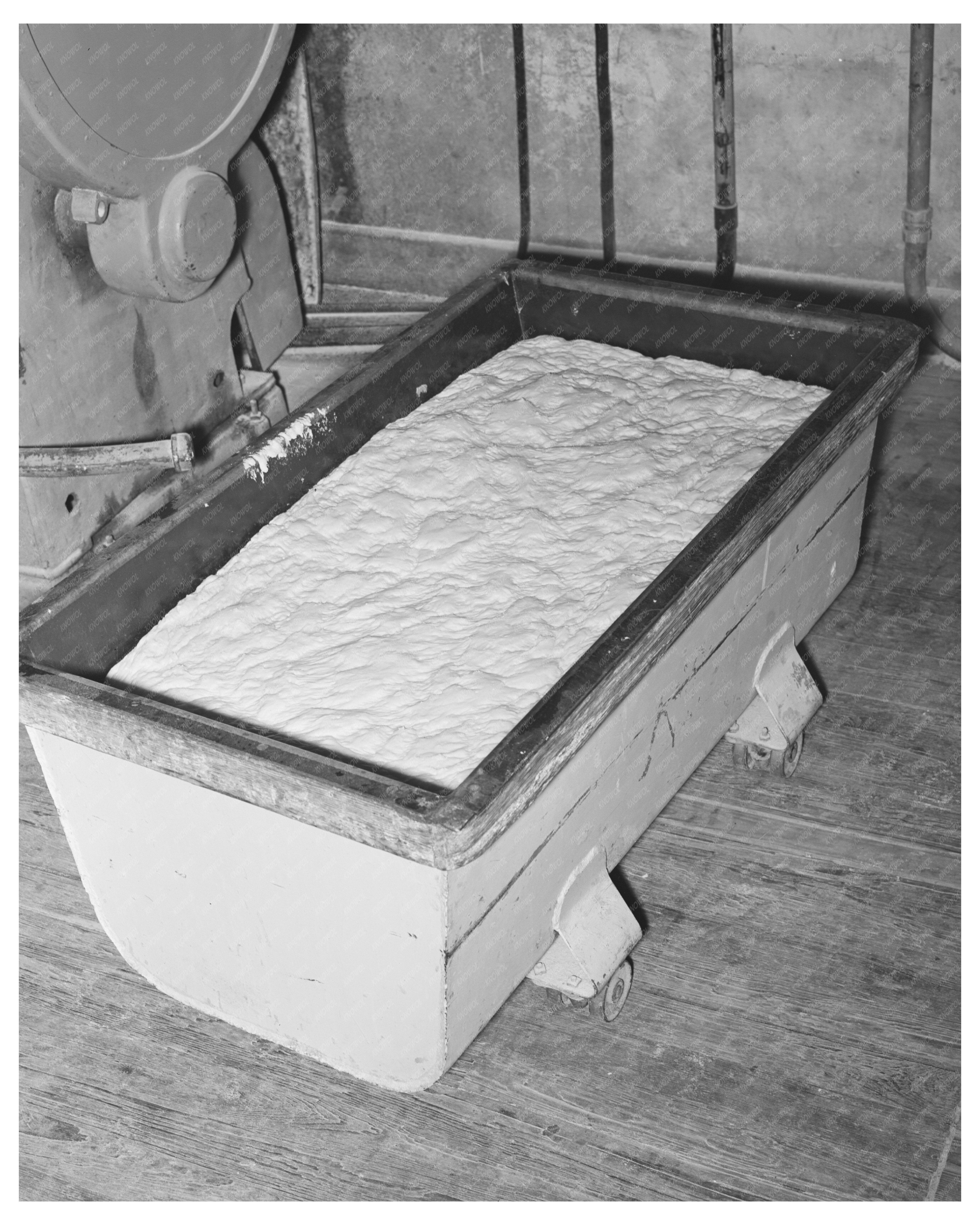 Dough Rising at San Angelo Bakery November 1939