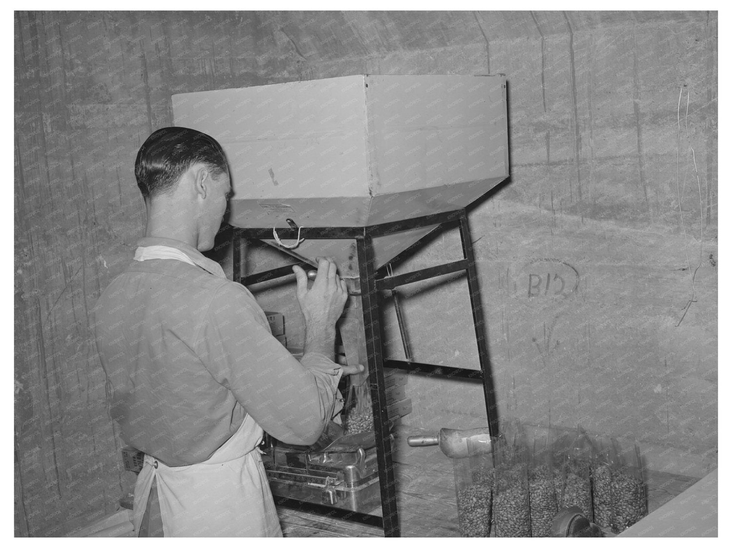 Workers Packing Pinto Beans in San Angelo Texas 1939