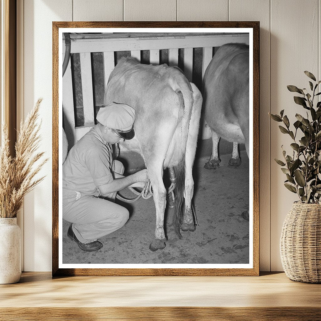 Vintage 1939 Dairy Farming Electric Milker in Texas