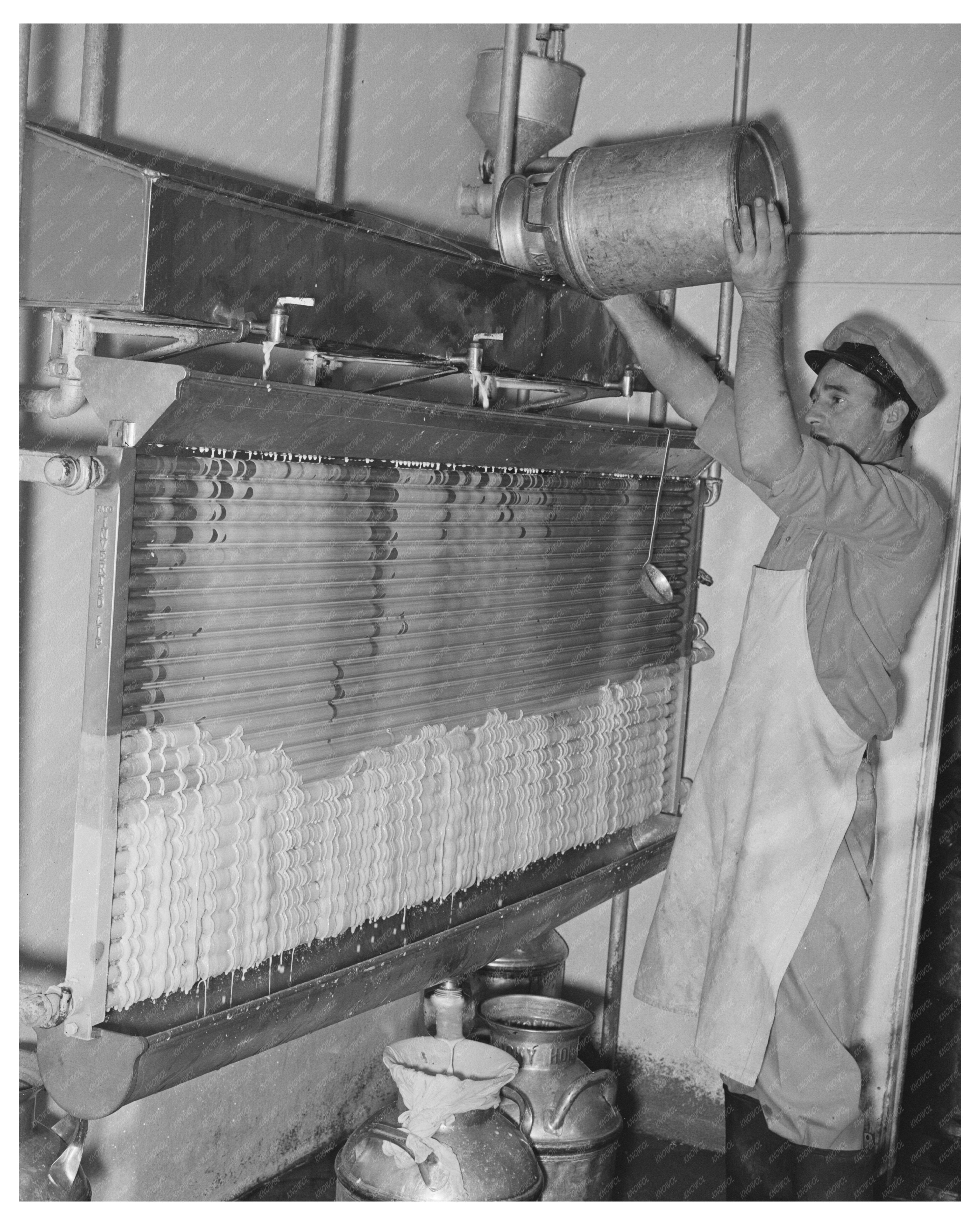 Cooling Milk at a Texas Dairy November 1939