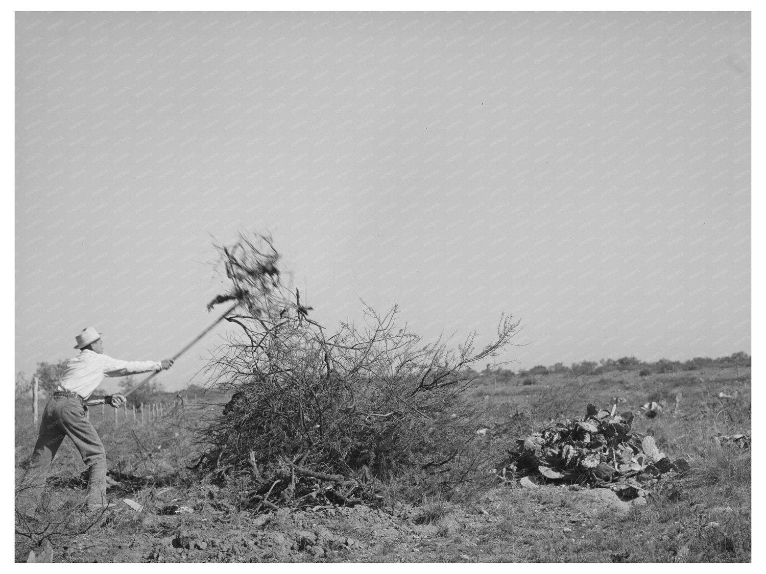 Laborers Clearing Land in Tom Green County Texas 1939