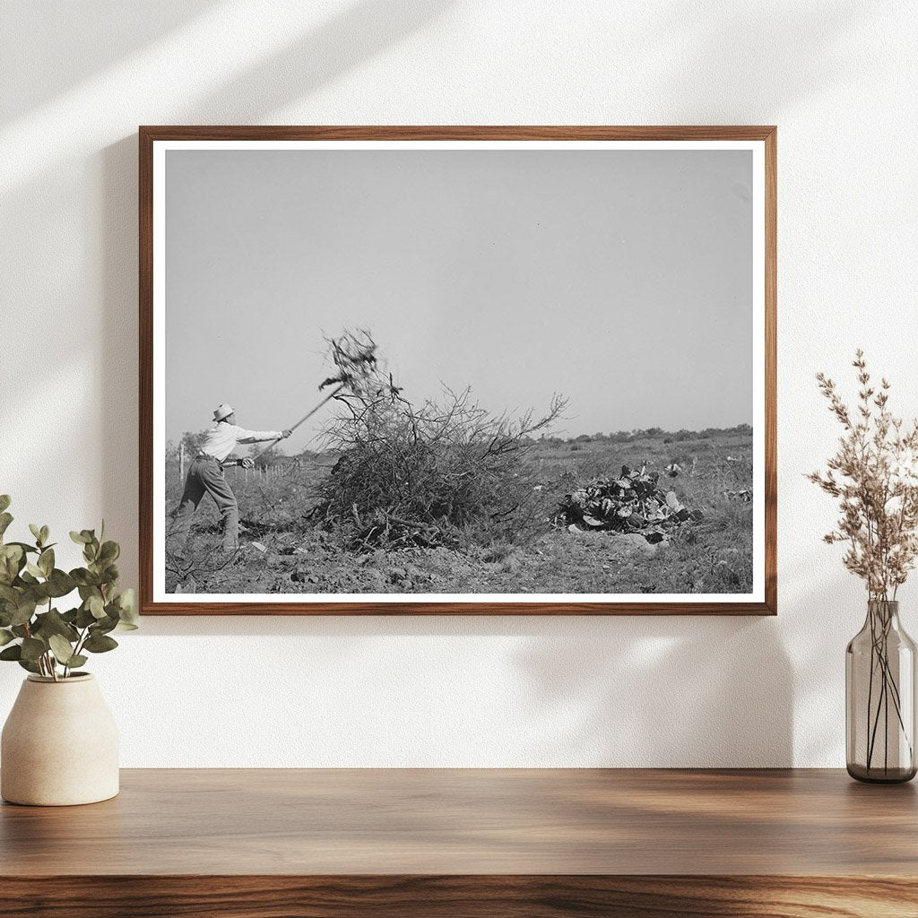Laborers Clearing Land in Tom Green County Texas 1939