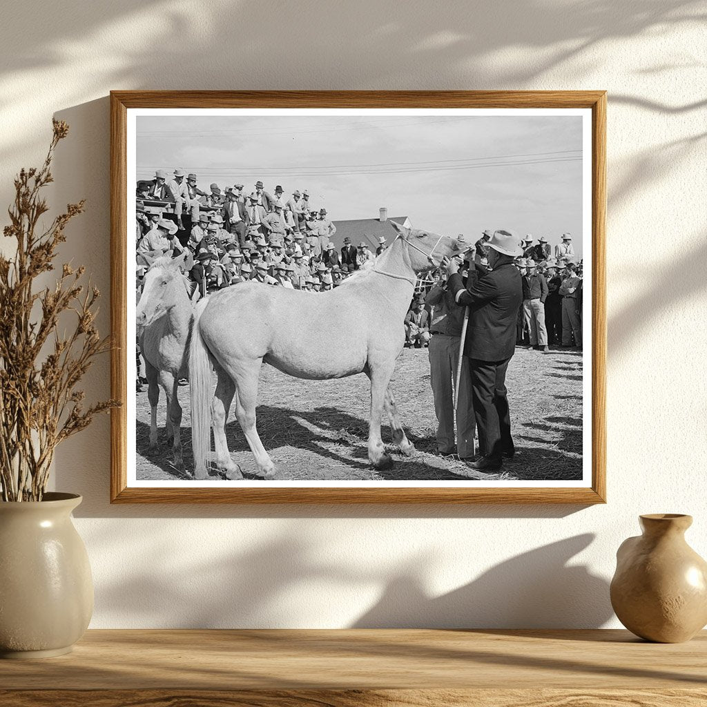 Man Examines Palomino Horse Teeth Auction El Dorado 1939
