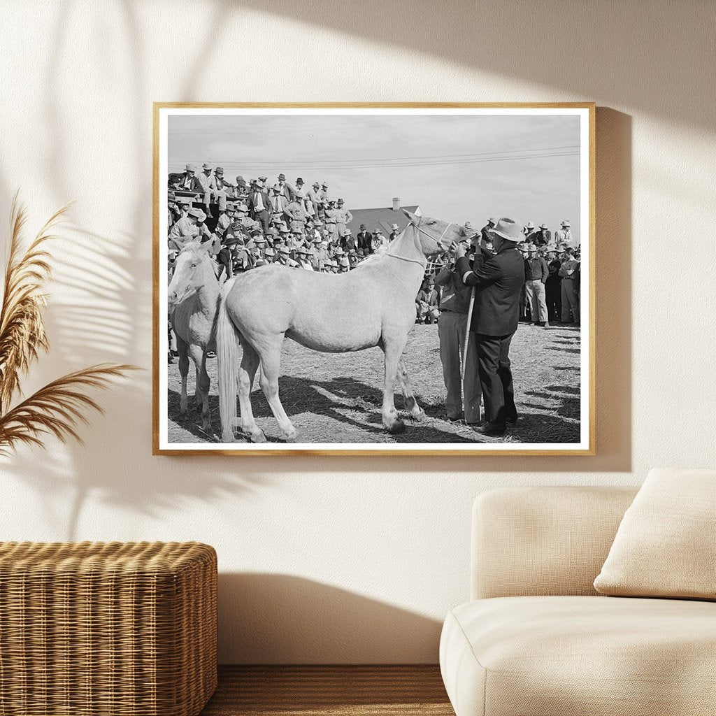 Man Examines Palomino Horse Teeth Auction El Dorado 1939