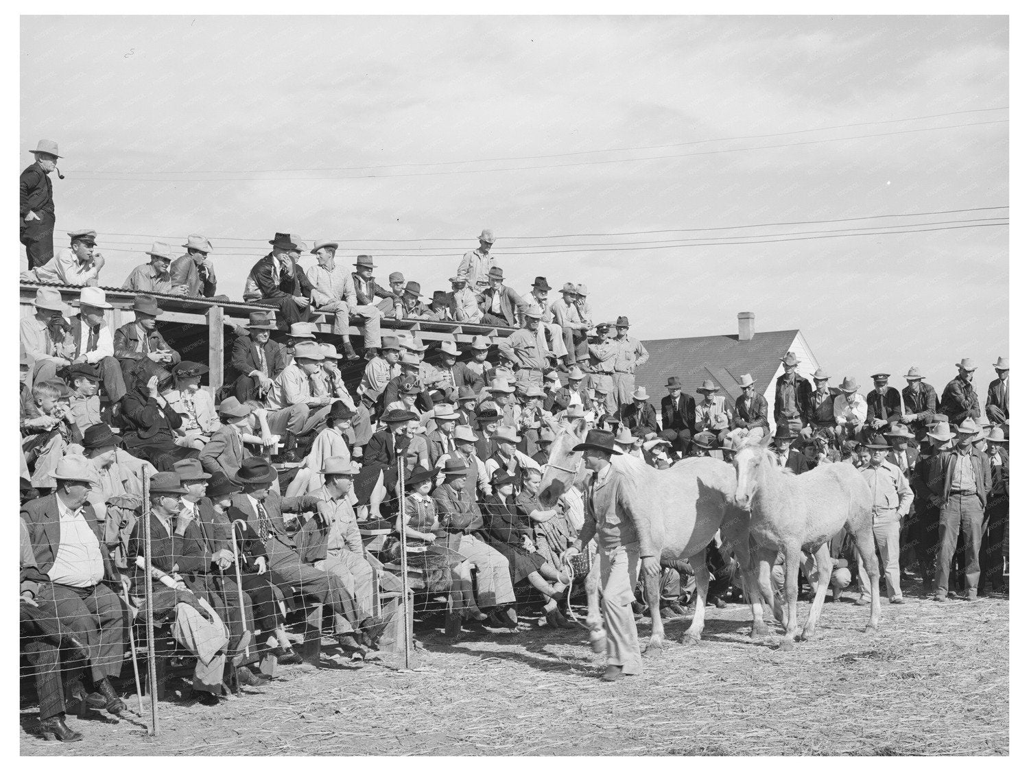 El Dorado Texas Horse Auction Crowd November 1939