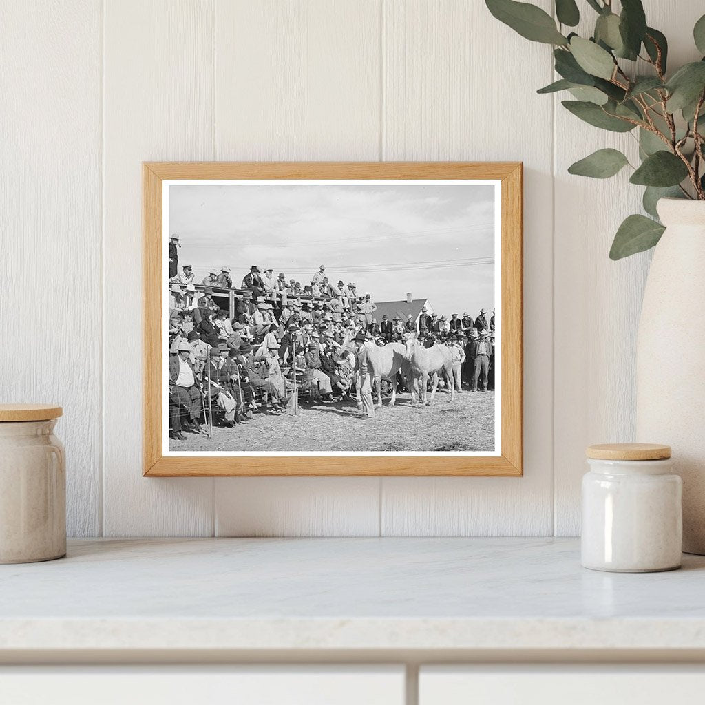 Horse Auction Crowd El Dorado Texas November 1939