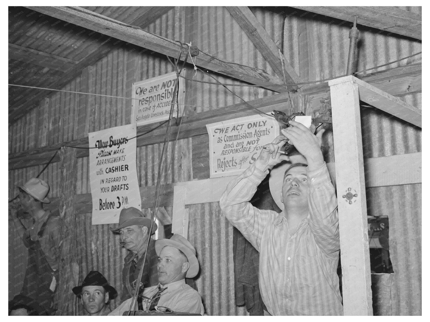 Vintage Livestock Auctioneer in San Angelo Texas 1939