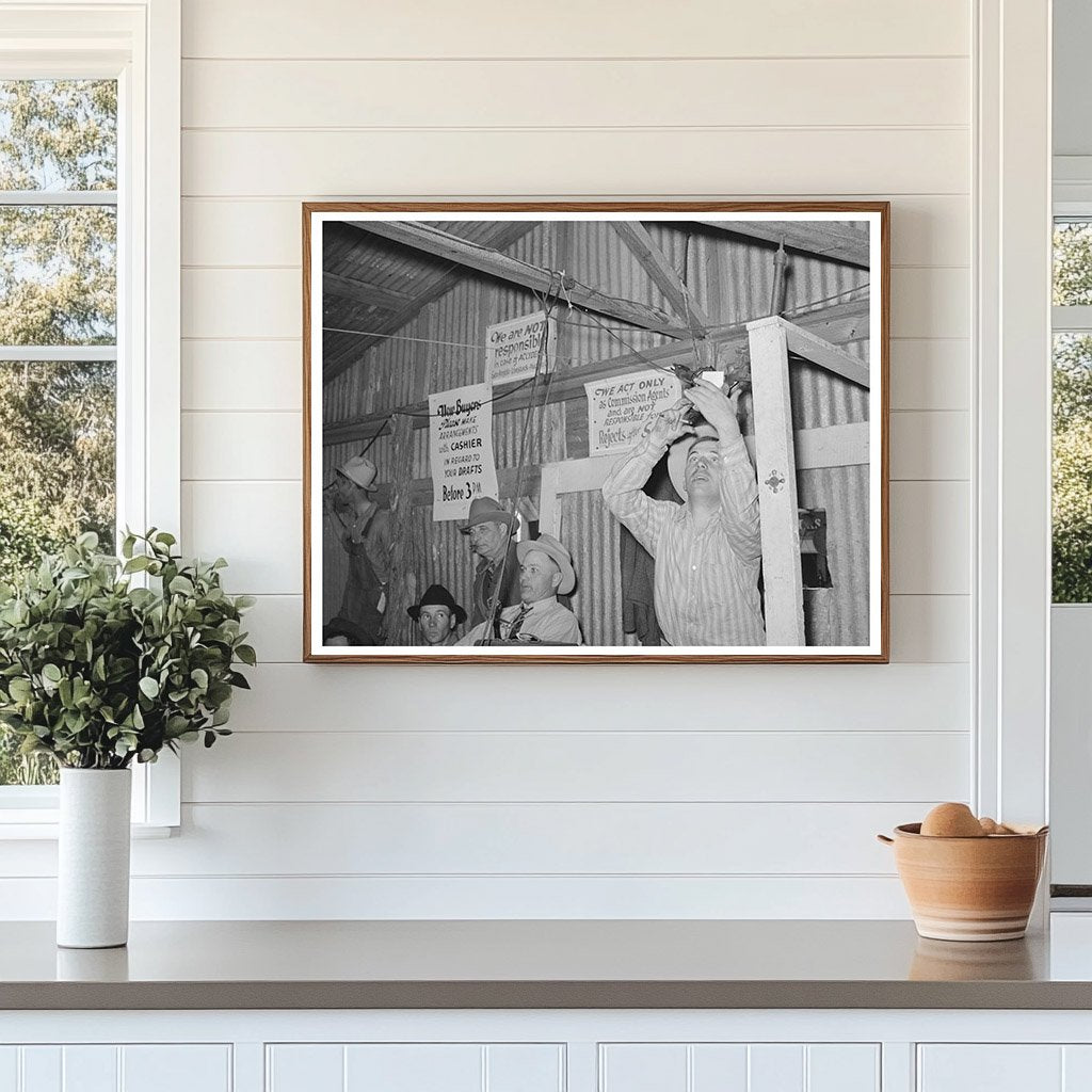 Vintage Livestock Auctioneer in San Angelo Texas 1939