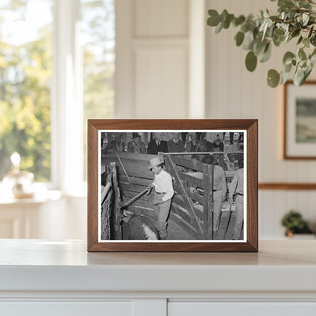San Angelo Texas Livestock Auction Scene November 1939