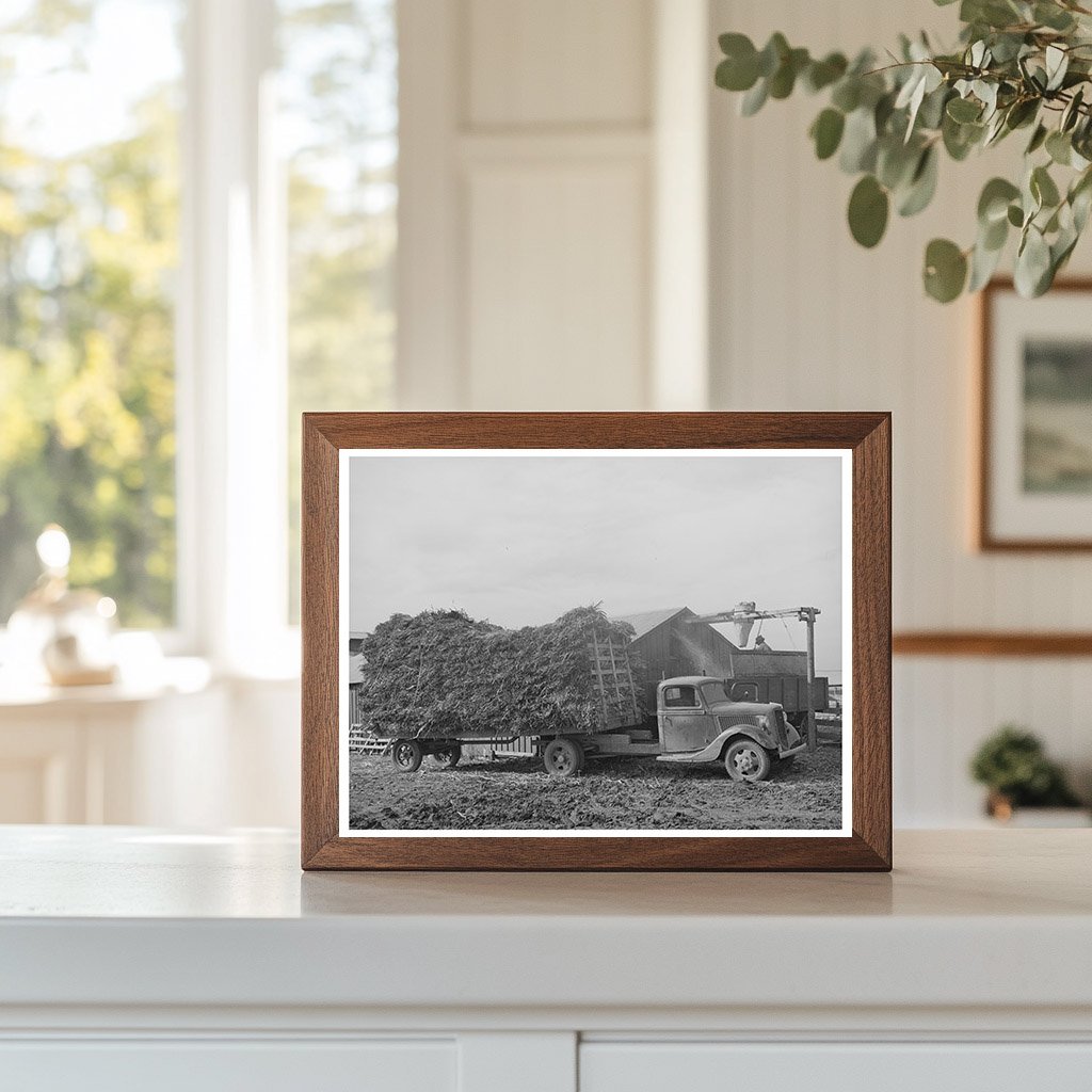 Dairy Operation in Tom Green County Texas 1939