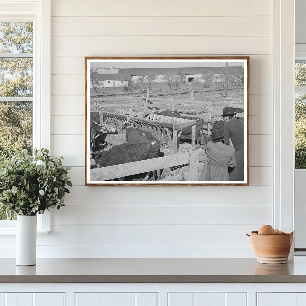 Men Observing Livestock in San Angelo Texas 1939