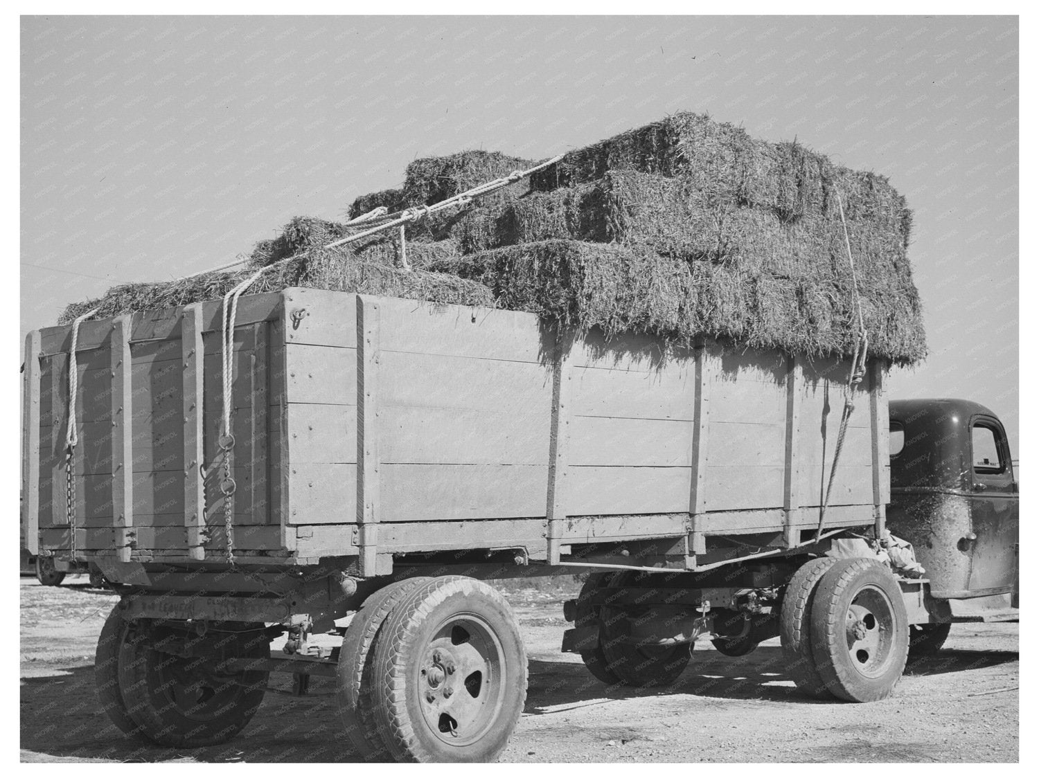 Vintage 1939 Truckload of Hay at Texas Livestock Auction