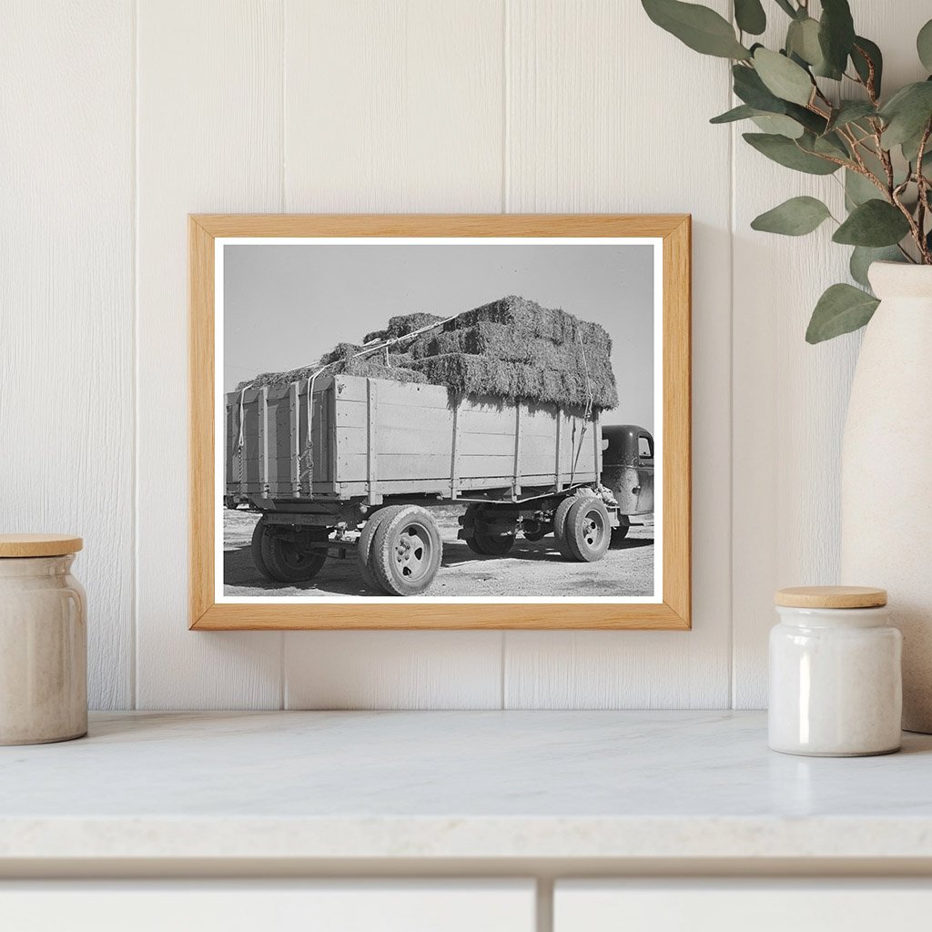 Truckload of Hay at San Angelo Livestock Auction 1939
