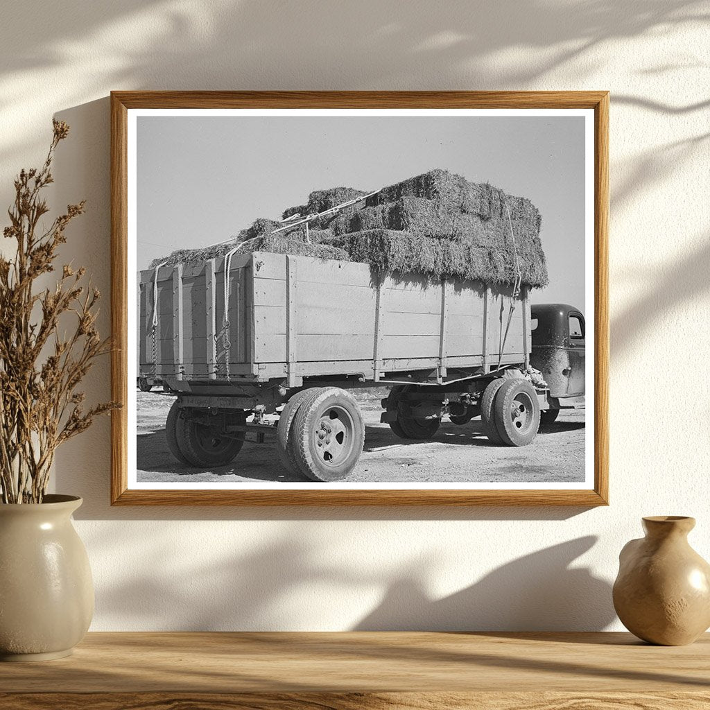 Truckload of Hay at San Angelo Livestock Auction 1939