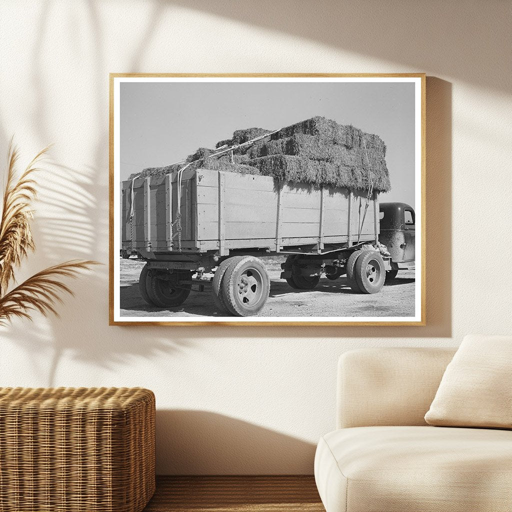 Truckload of Hay at San Angelo Livestock Auction 1939