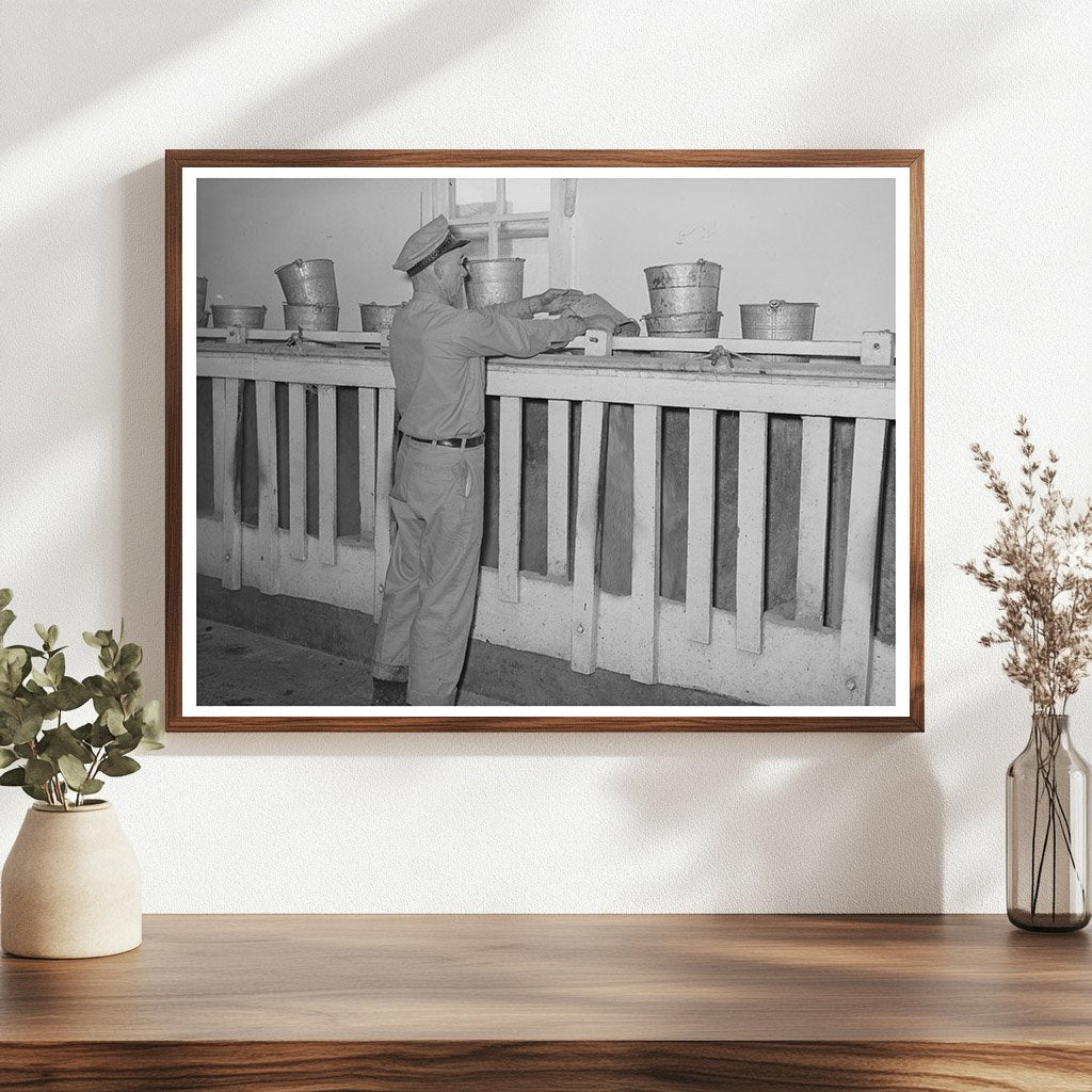 Cattle Ration Feeding in Tom Green County Texas 1939