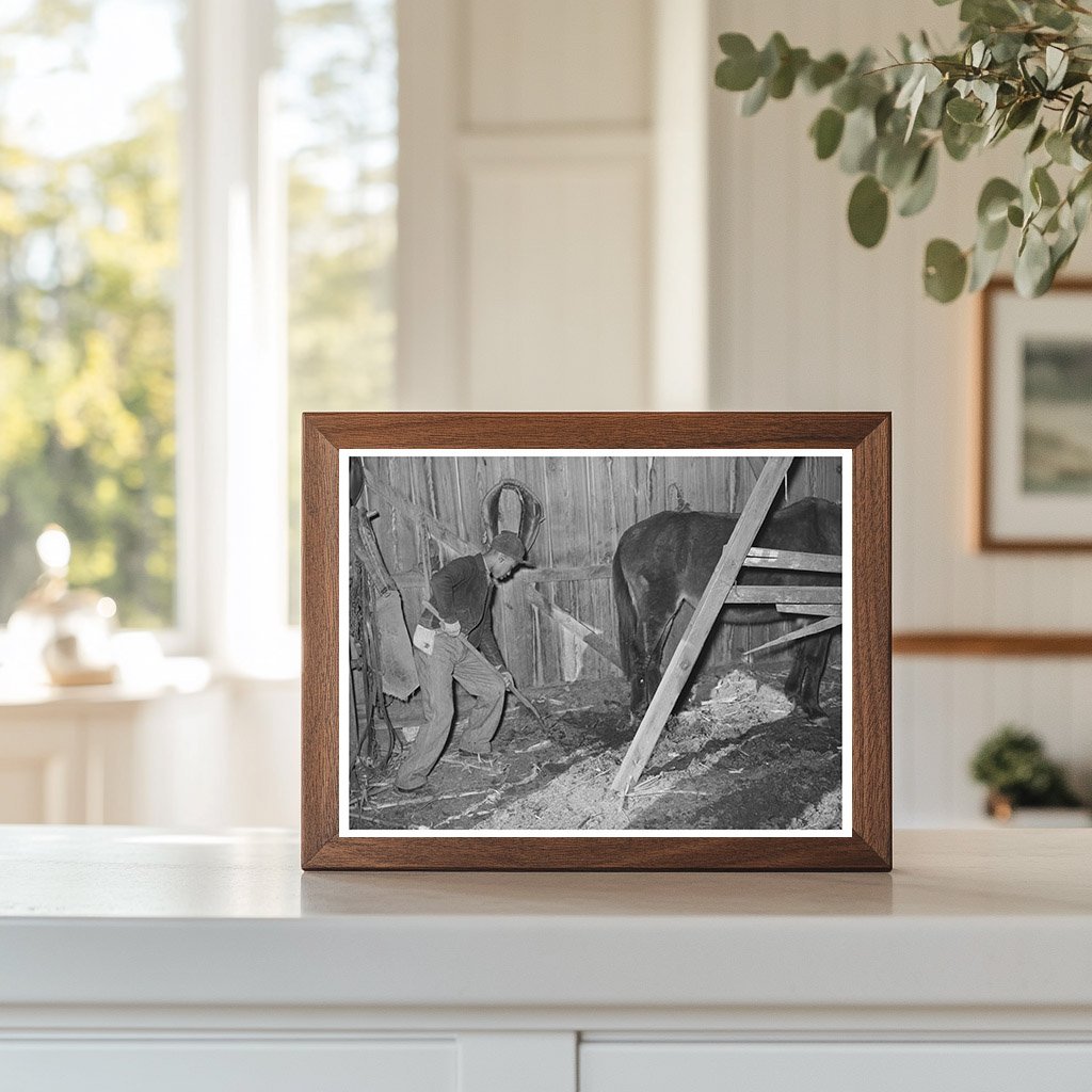 1944 Young Boy Cleaning Barn Manure in Oklahoma Farm