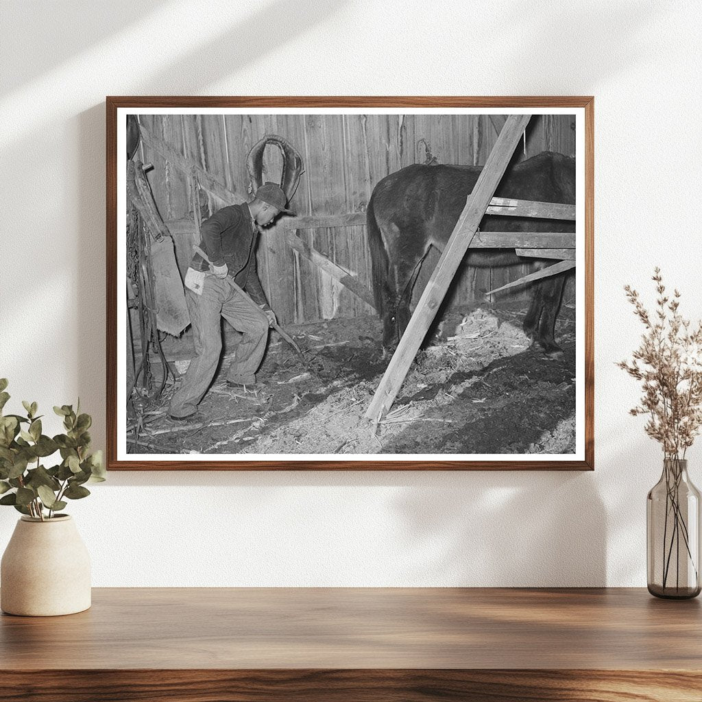 1944 Young Boy Cleaning Barn Manure in Oklahoma Farm