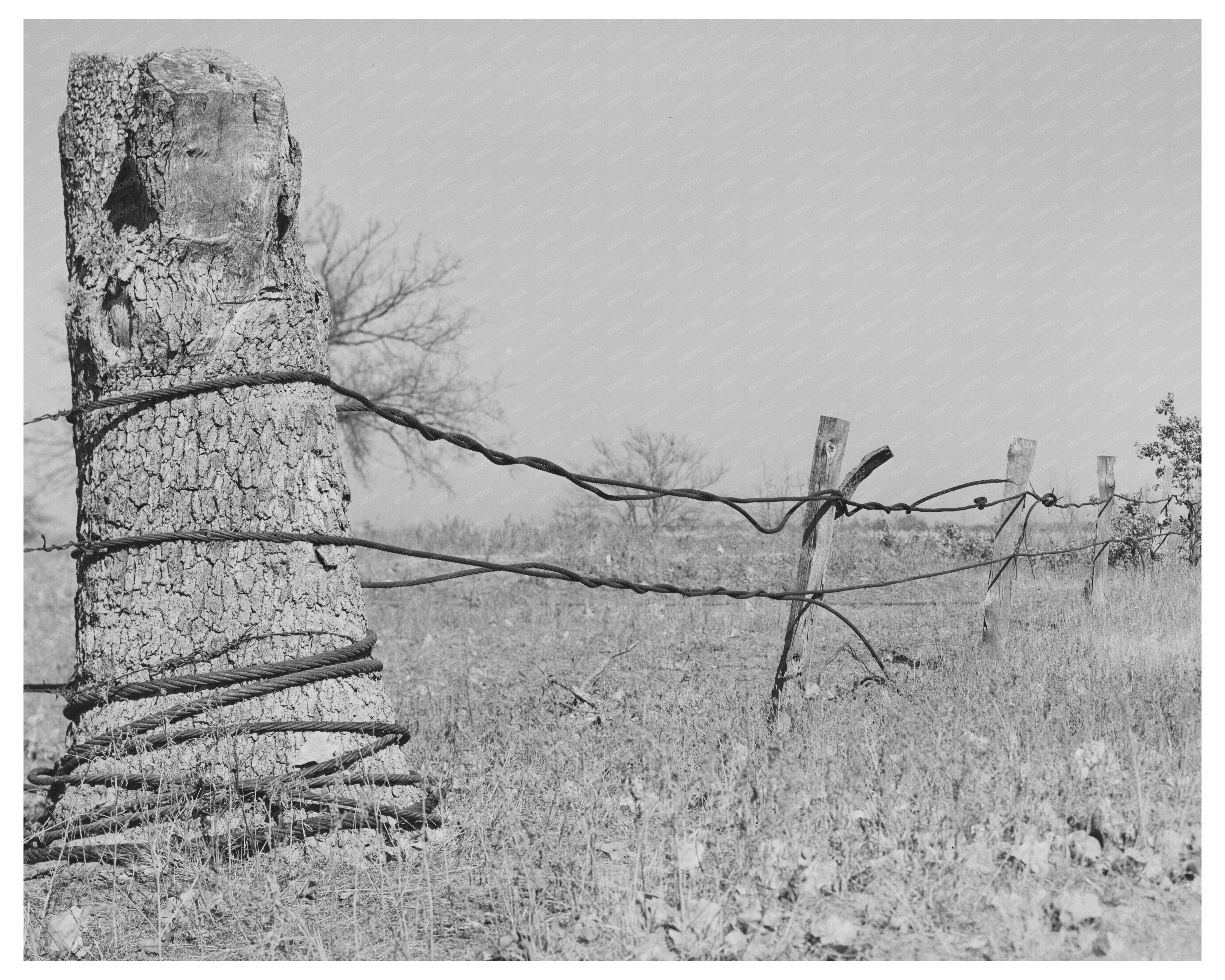 Vintage Fence Made from Oil Well Cable Oklahoma 1940