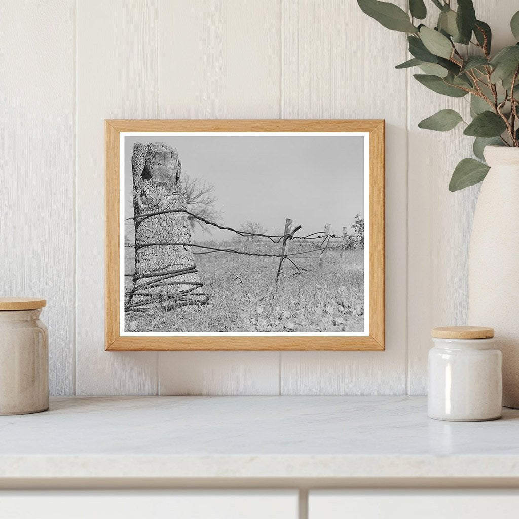 Vintage Fence Made from Oil Well Cable Oklahoma 1940