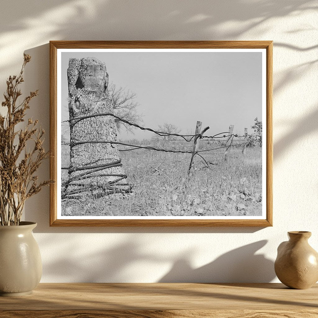 Vintage Fence Made from Oil Well Cable Oklahoma 1940