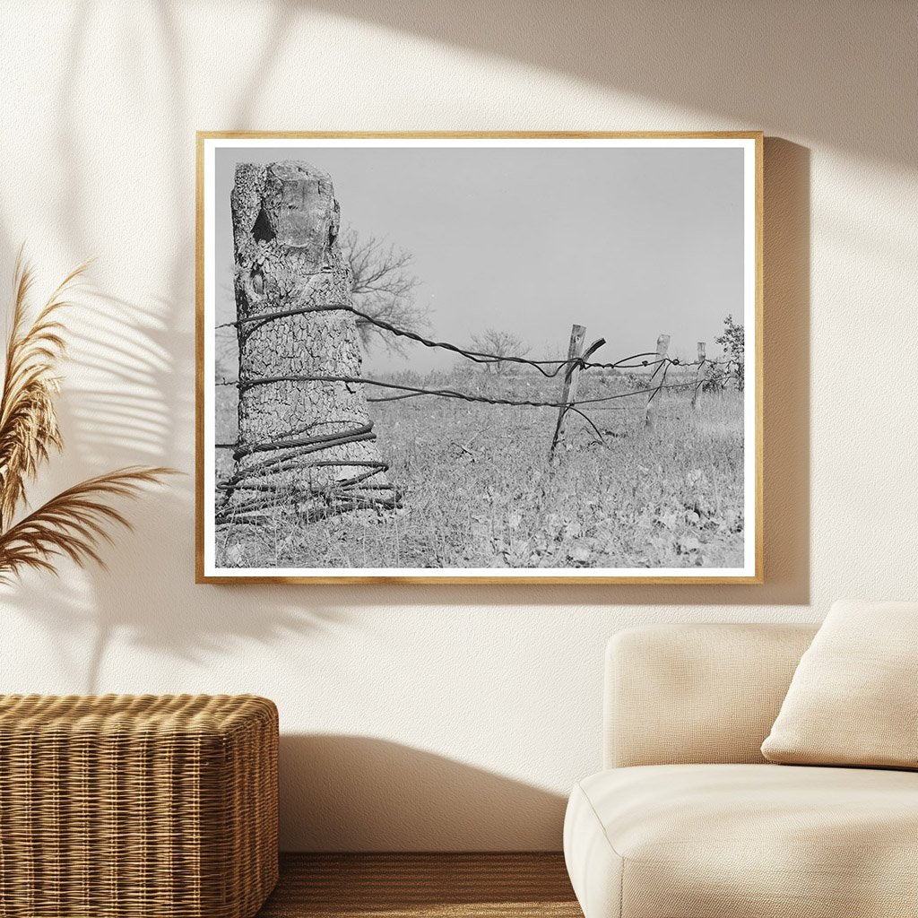 Vintage Fence Made from Oil Well Cable Oklahoma 1940