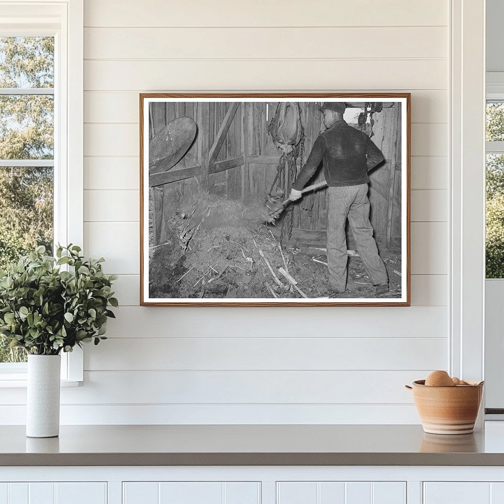 1944 Young Tenant Farmer Cleaning Barn in Oklahoma