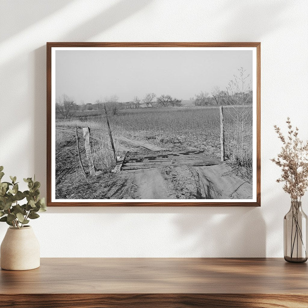 Cattle Guard in Creek County Oklahoma February 1940