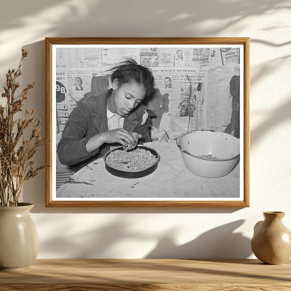 Daughter of Tenant Farmer Picking Peas February 1944
