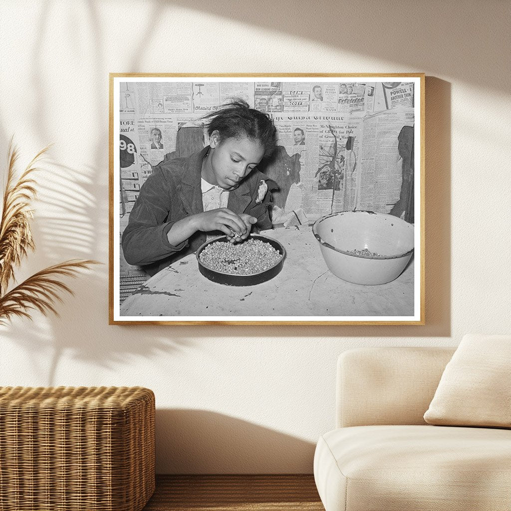Daughter of Tenant Farmer Picking Peas February 1944