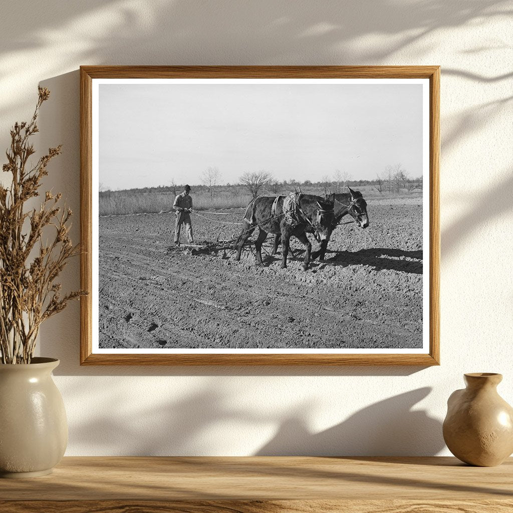 Young Boy Plowing Field with Mule Creek County Oklahoma 1940