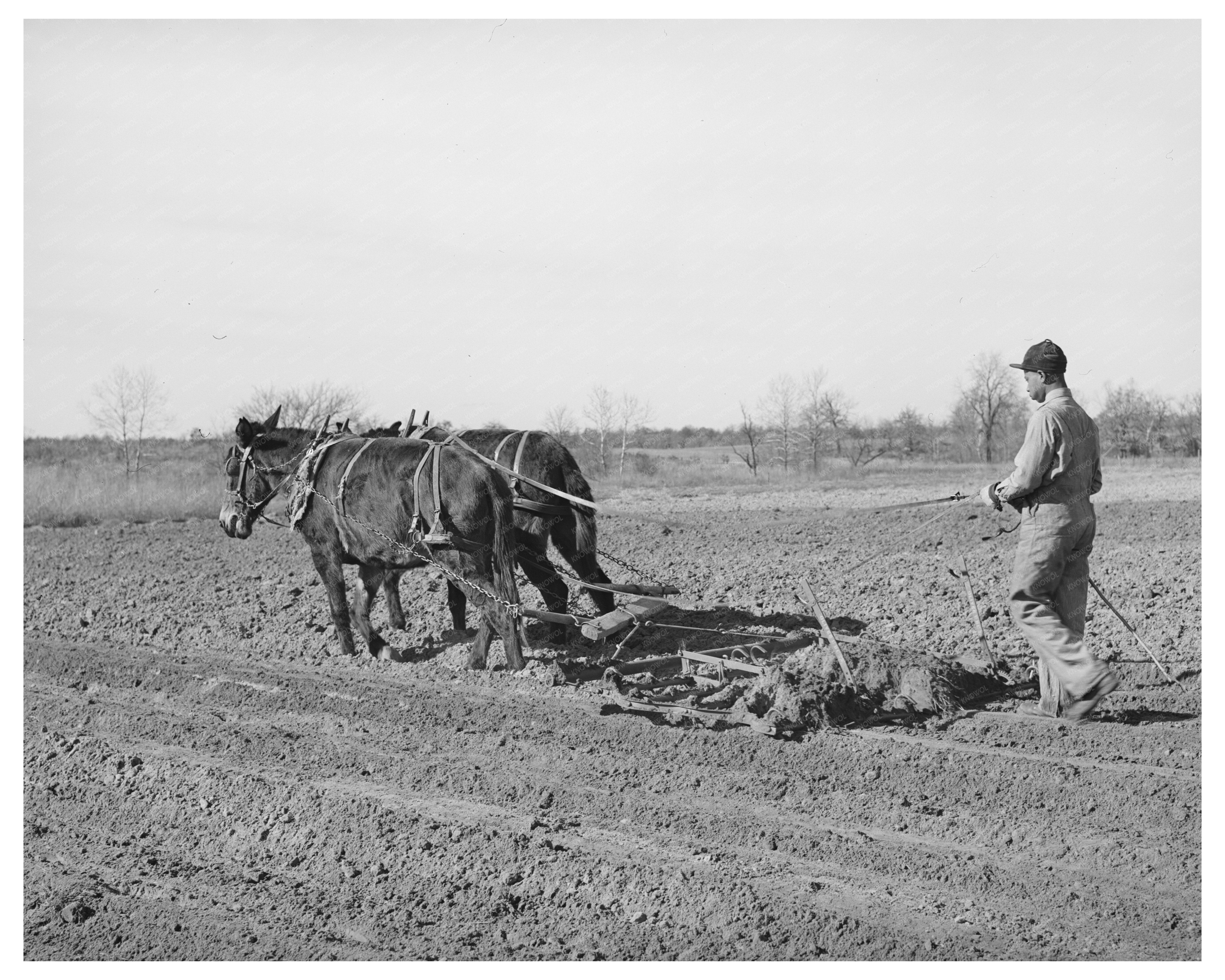 1944 Vintage Photo of Young Boy Farming in Oklahoma