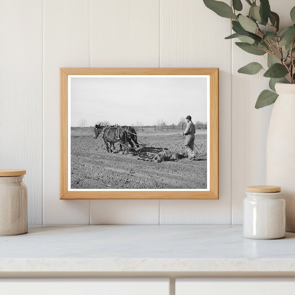 1944 Vintage Photo of Young Boy Farming in Oklahoma