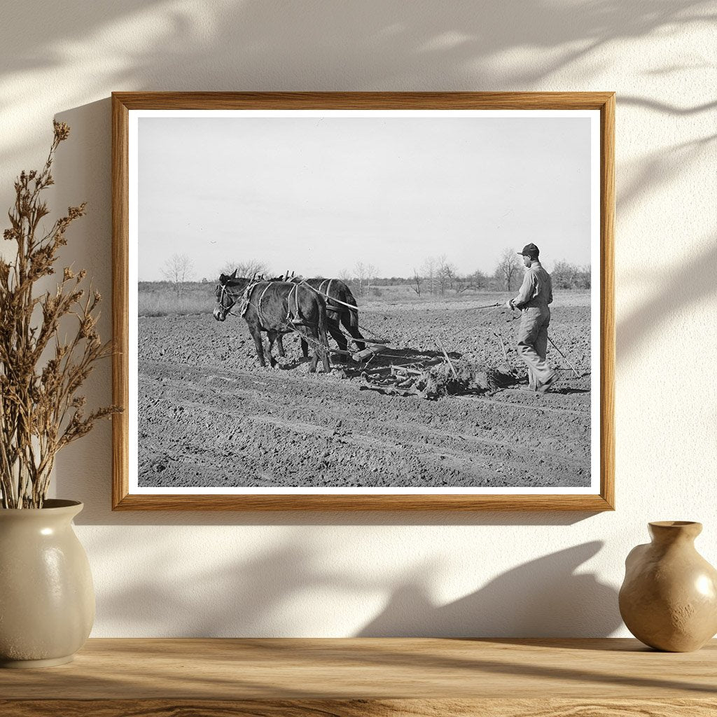 1944 Vintage Photo of Young Boy Farming in Oklahoma
