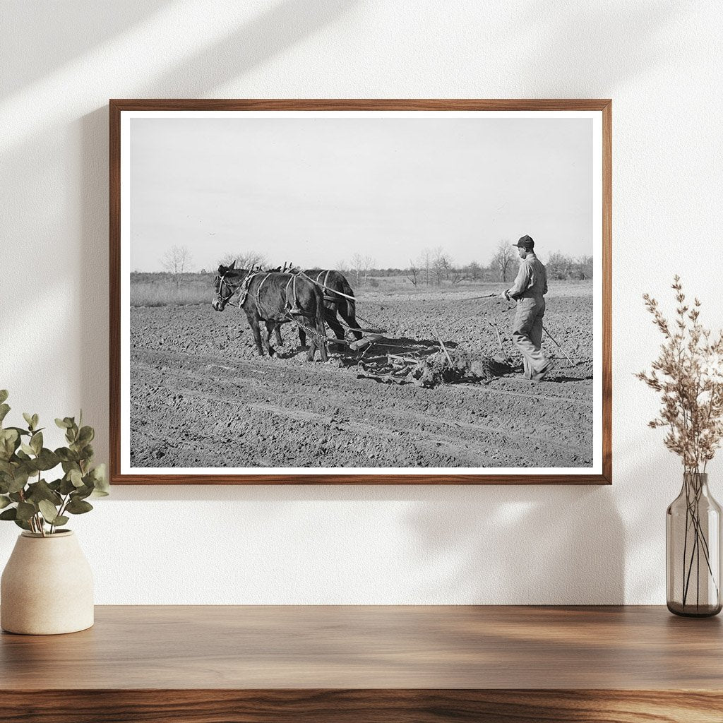 1944 Young Boy Harrowing Cropland Creek County Oklahoma