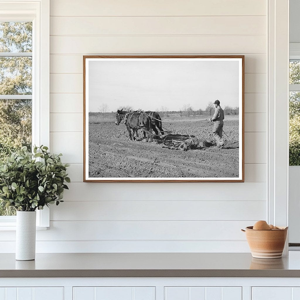 1944 Young Boy Harrowing Cropland Creek County Oklahoma