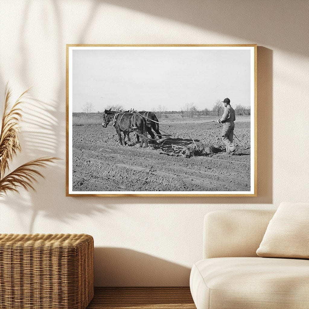 1944 Vintage Photo of Young Boy Farming in Oklahoma