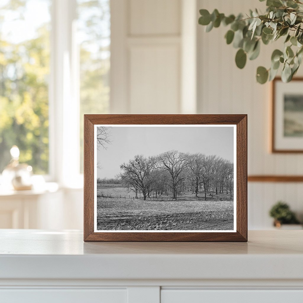 McIntosh County Oklahoma Landscape February 1940 Photo