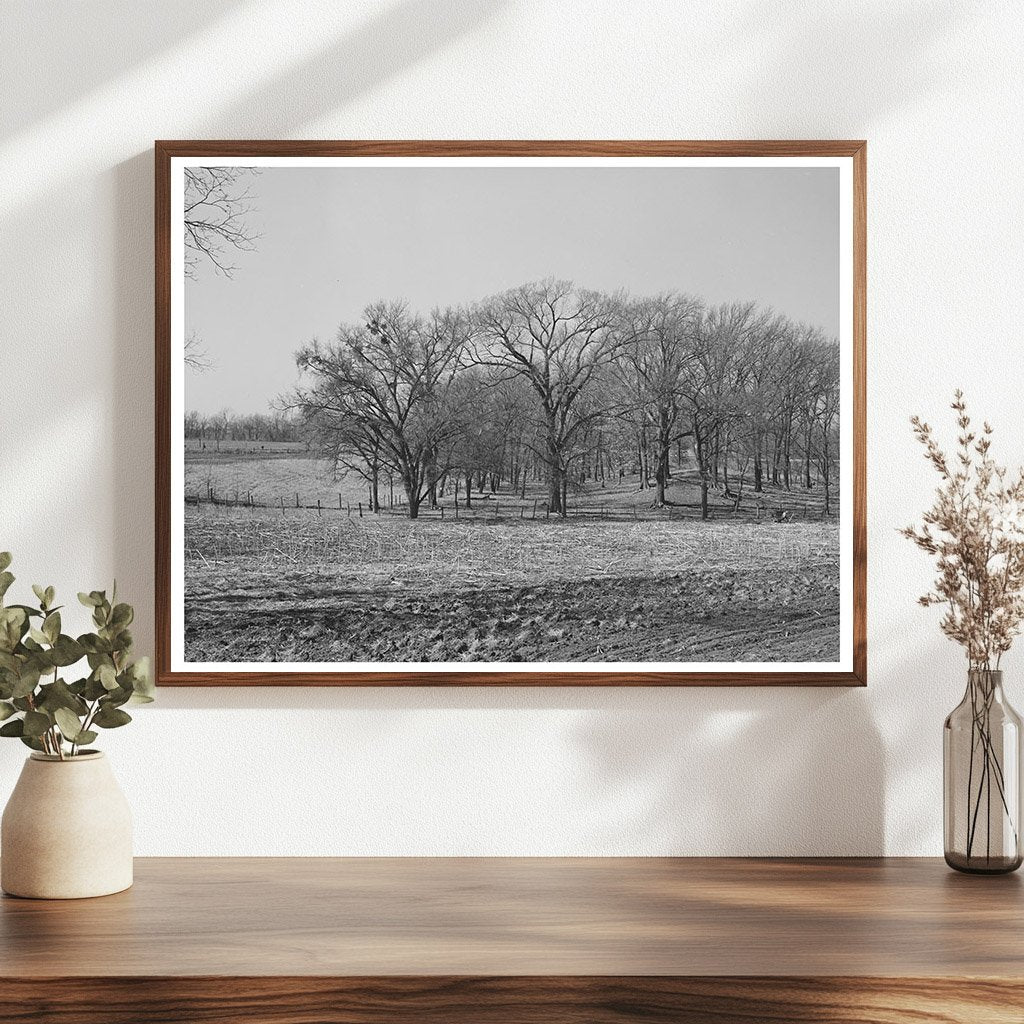 McIntosh County Oklahoma Landscape February 1940 Photo