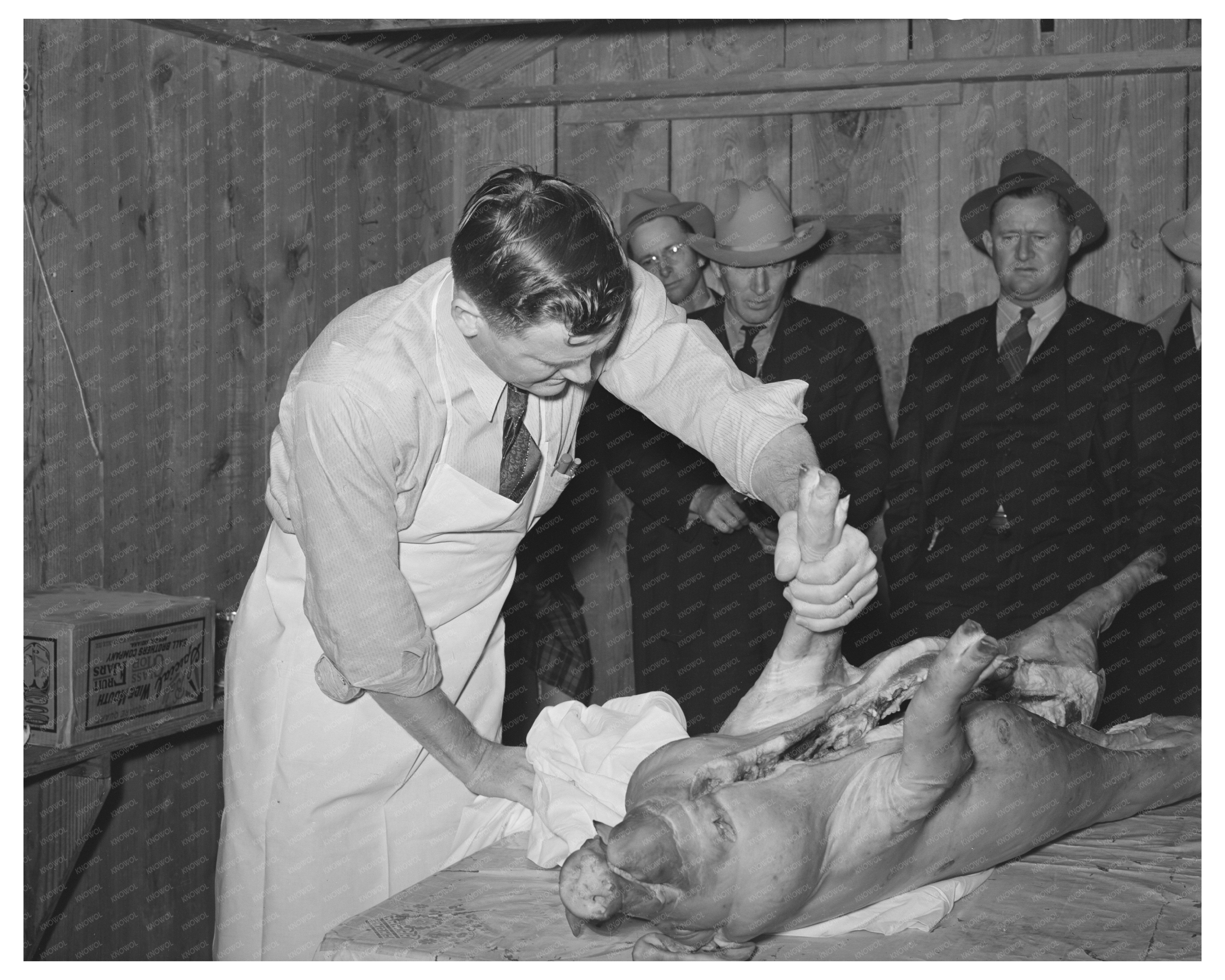 Meat Cutting Techniques Demonstration San Angelo Texas 1944