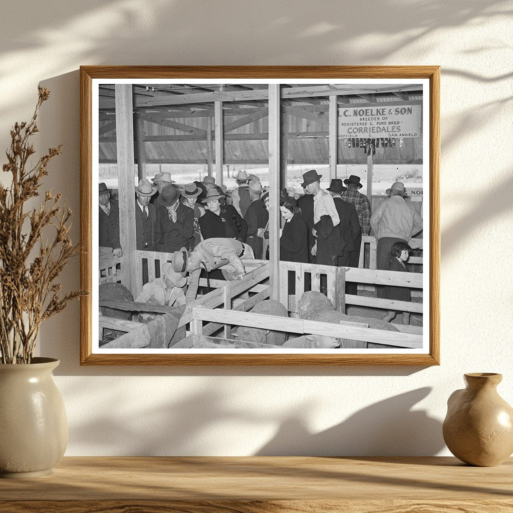 San Angelo Fat Stock Show Sheep Division 1940