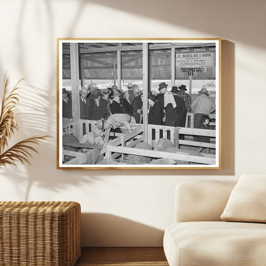 San Angelo Fat Stock Show Sheep Division 1940