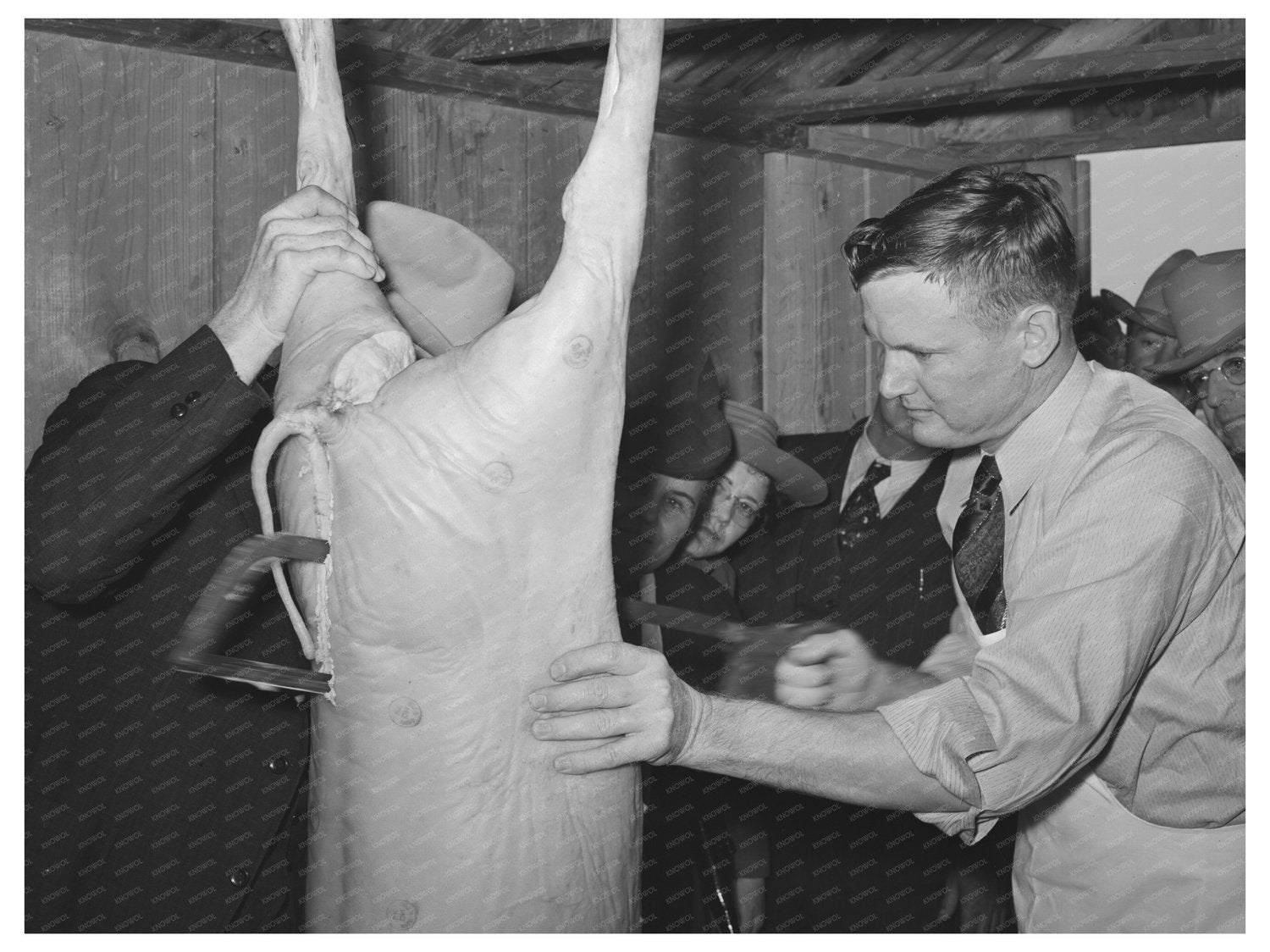 Farm Security Administration Meat Cutting Demo March 1940