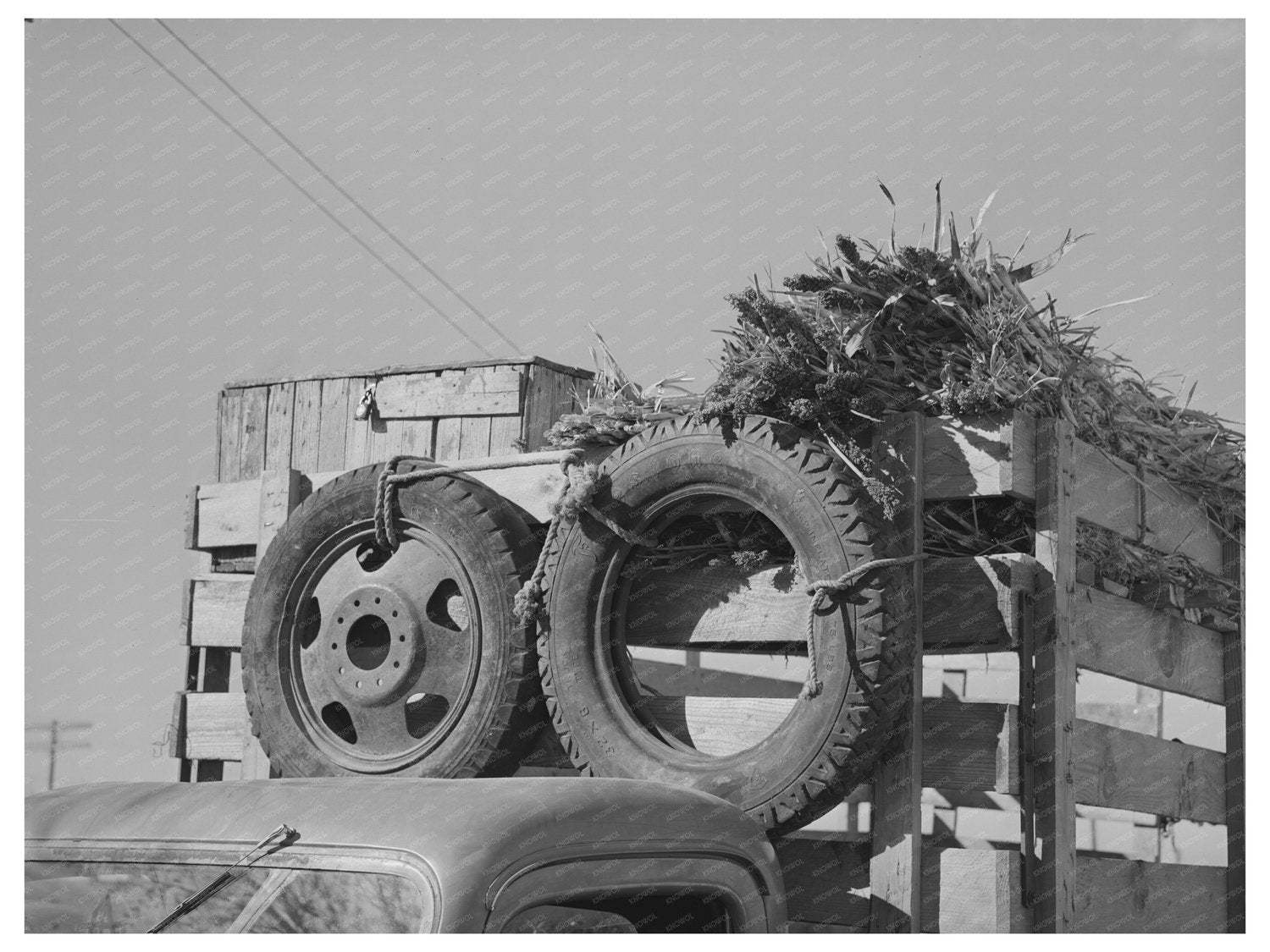 Truck Arriving at San Angelo Fat Stock Show March 1940